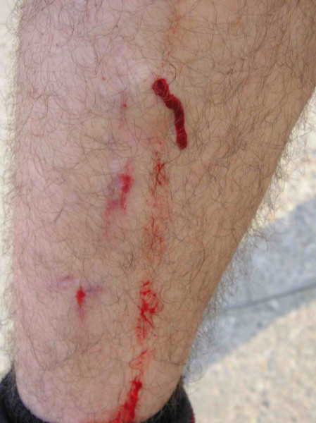 Rower 04_04_04 30.jpg, galeria 04.04.04