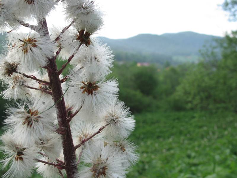 Bieszczady011.jpg, galeria Bieszczady