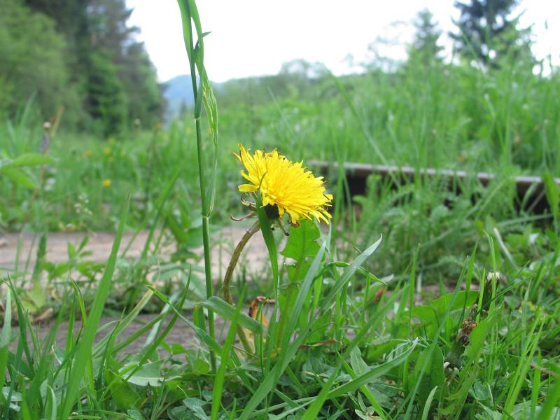 Bieszczady024.jpg, galeria Bieszczady