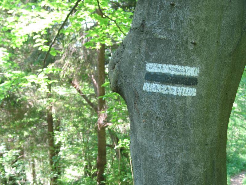 Bieszczady038.jpg, galeria Bieszczady