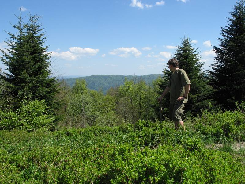 Bieszczady044.jpg, galeria Bieszczady