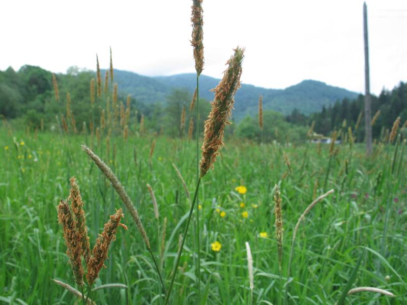 Bieszczady132.jpg, galeria Bieszczady