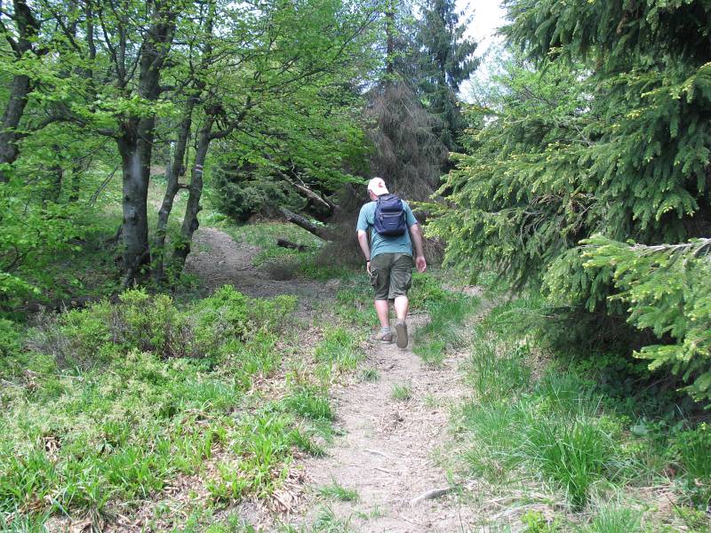 Bieszczady140.jpg, galeria Bieszczady