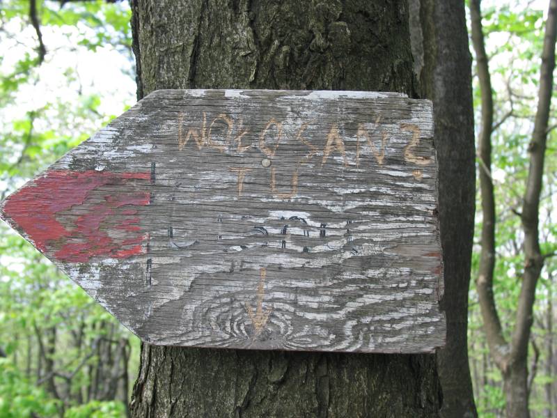 Bieszczady142.jpg, galeria Bieszczady