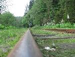 Bieszczady017.jpg