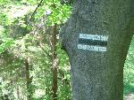 Bieszczady038.jpg