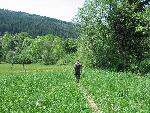 Bieszczady061.jpg
