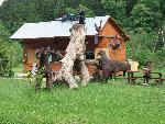 Bieszczady062.jpg