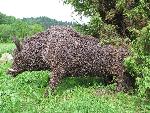 Bieszczady069.jpg