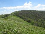 Bieszczady071.jpg
