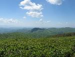 Bieszczady074.jpg