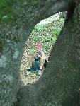 Bieszczady080.jpg