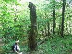 Bieszczady101.jpg