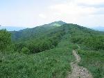 Bieszczady110.jpg