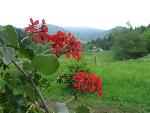 Bieszczady130.jpg
