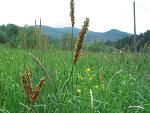 Bieszczady132.jpg