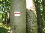 Bieszczady135.jpg