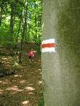 Bieszczady137.jpg