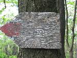 Bieszczady142.jpg
