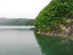 cisna_20080523_102737_034.jpg