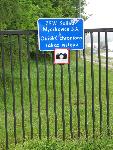 cisna_20080523_110741_049.jpg
