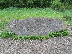 cisna_20080523_123050_065.jpg