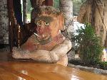 cisna_20080523_150950_086.jpg