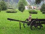 cisna_20080523_164923_105.jpg