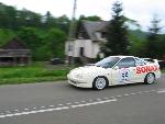 cisna_20080524_095246_126.jpg