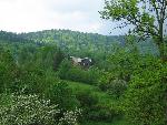 cisna_20080524_103817_139.jpg