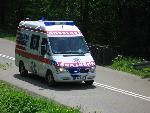 cisna_20080524_110548_148.jpg