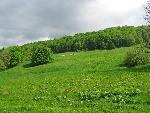 cisna_20080525_085722_262.jpg