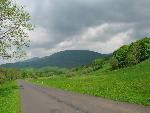 cisna_20080525_085751_264.jpg