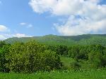 cisna_20080525_085914_266.jpg
