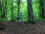 cisna_20080525_102603_283.jpg