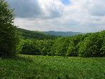 cisna_20080525_104308_284.jpg