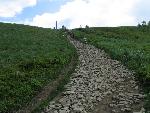 cisna_20080525_104600_287.jpg