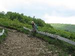 cisna_20080525_104756_290.jpg