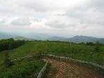 cisna_20080525_104900_291.jpg