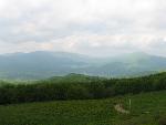 cisna_20080525_104921_293.jpg