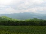 cisna_20080525_104955_294.jpg