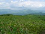 cisna_20080525_105655_299.jpg