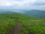 cisna_20080525_105711_301.jpg