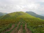 cisna_20080525_110723_303.jpg