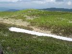 cisna_20080525_112459_306.jpg