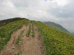 cisna_20080525_112517_308.jpg