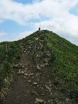 cisna_20080525_114046_319_ps.jpg