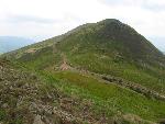 cisna_20080525_114212_321.jpg