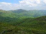 cisna_20080525_114343_323.jpg