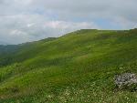 cisna_20080525_121343_330.jpg